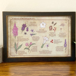Variety of Murderous Plants // Illustrated Botanical Print // Deadly Flowers // Poisonous Plants Botanical Chart // Home Décor // Dark Arts