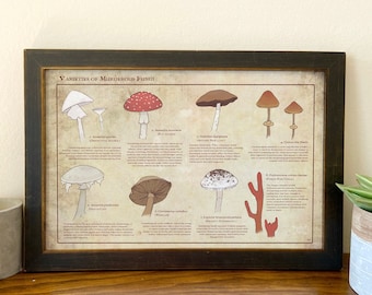 Variety of Murderous Fungi // Illustrated Botanical Prints // Deadly Mushrooms // Poisonous Mushroom Botanical Chart // Home Décor