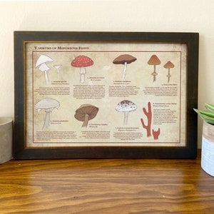 Variety of Murderous Fungi // Illustrated Botanical Art // Deadly Mushrooms // Poisonous Mushroom Botanical Chart // Home Décor // Mycophile
