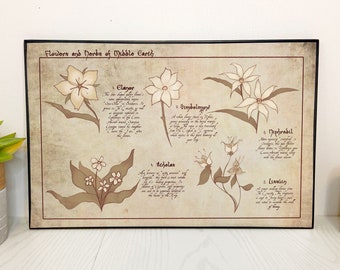 Impresión de ilustración botánica de ESDLA, arte de flores de la Tierra Media