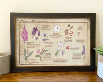 Lámina botánica de plantas asesinas // Tabla de flores mortales, decoración oscura para el hogar