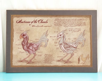 May include: Framed print featuring anatomical illustrations of a Chocobo, with muscle and skeletal diagrams. The artwork is in sepia tones, with detailed labels and text. The frame is gray, and the overall style is reminiscent of vintage scientific illustrations.