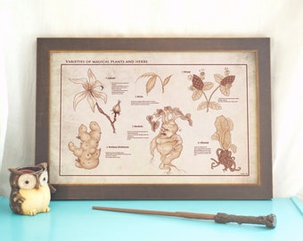 Herbology Studies // Botanical Chart // Magical Plants & Herbs Print // Vintage Illustrated Botanical Art // Geeky Home Decor // Nerdy Gift