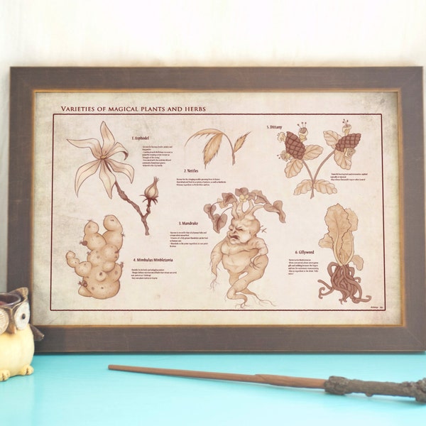 Herbology Studies // Botanical Chart // Magical Plants & Herbs Print // Vintage Illustrated Botanical Art // Geeky Home Decor // Nerdy Gift