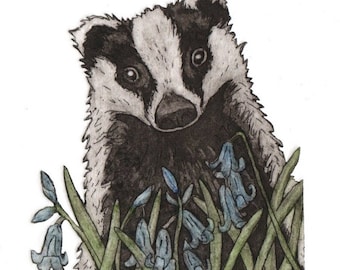 Badger and Bluebells - hand-printed etching