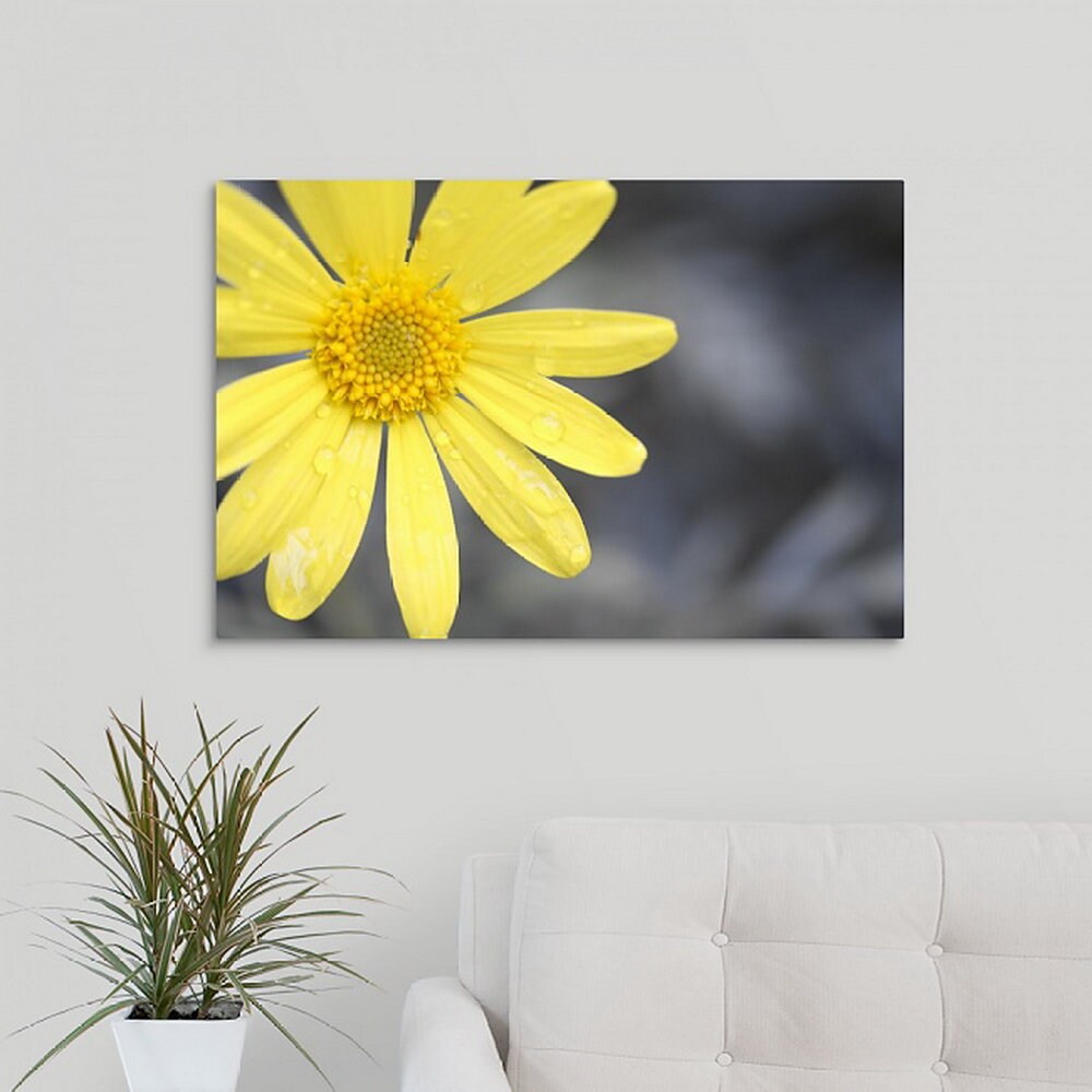 Yellow Daisy Photo Canvas Wall Decor Cheery Flower Wall Art Etsy