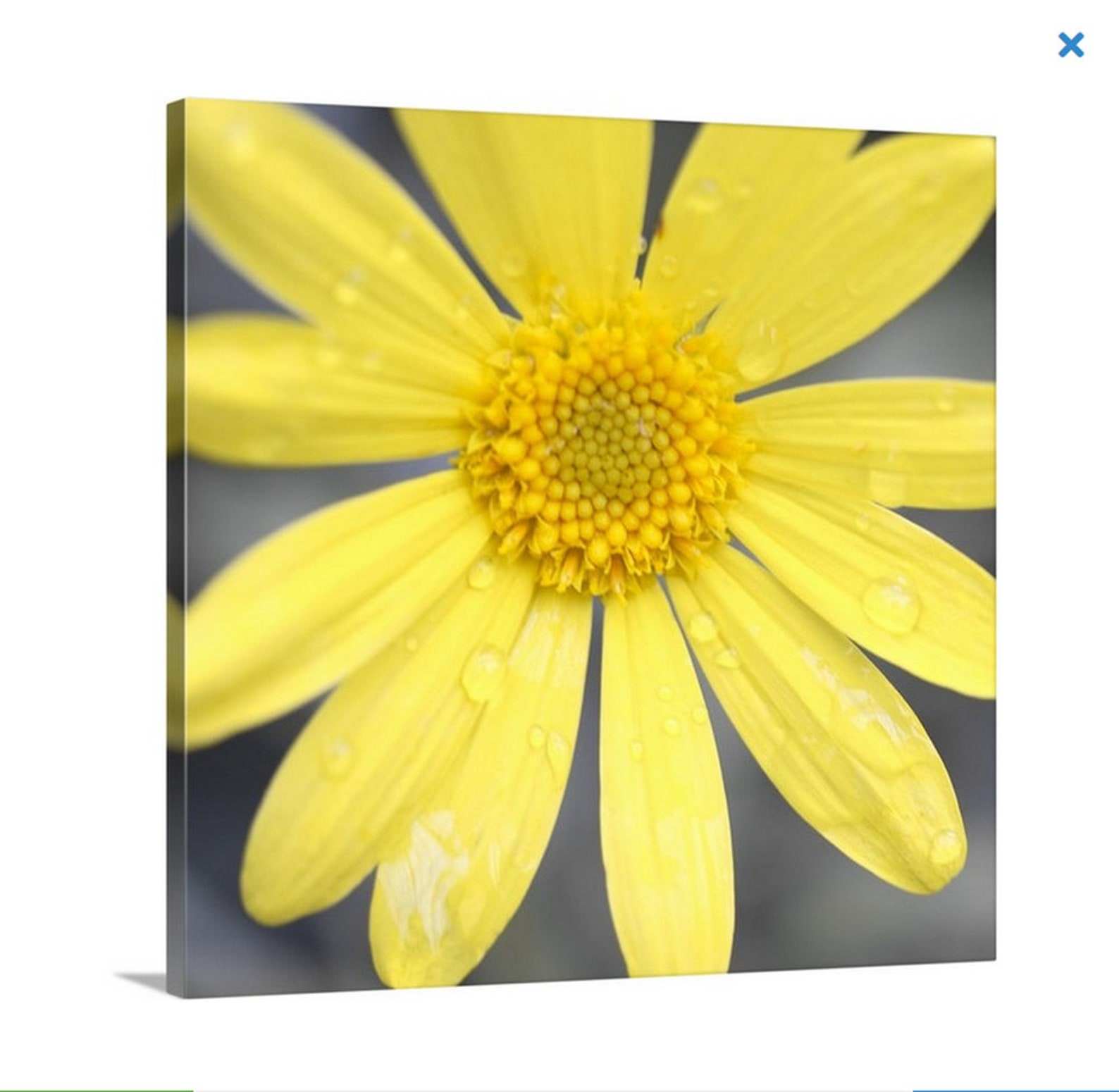 Yellow Daisy Photo Canvas Wall Decor Cheery Flower Wall Art Etsy