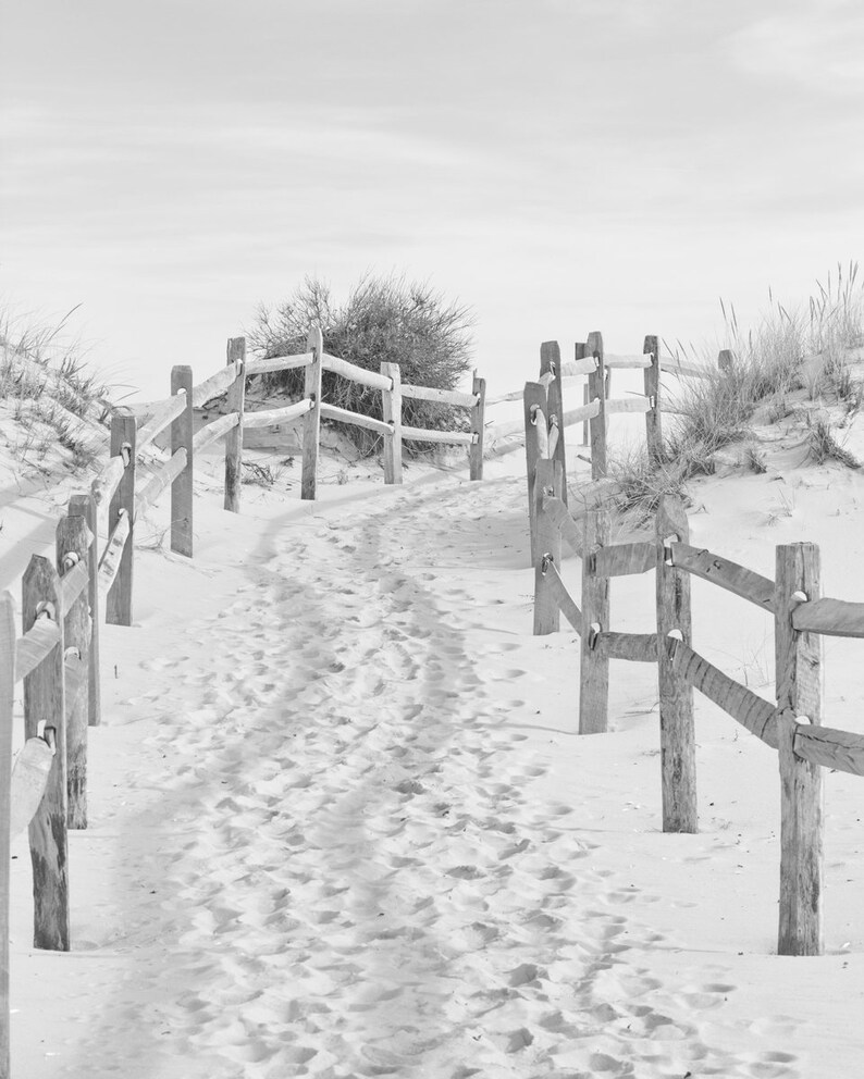 Black and White Beach Photography Coastal Wall Art Sand Dune | Etsy