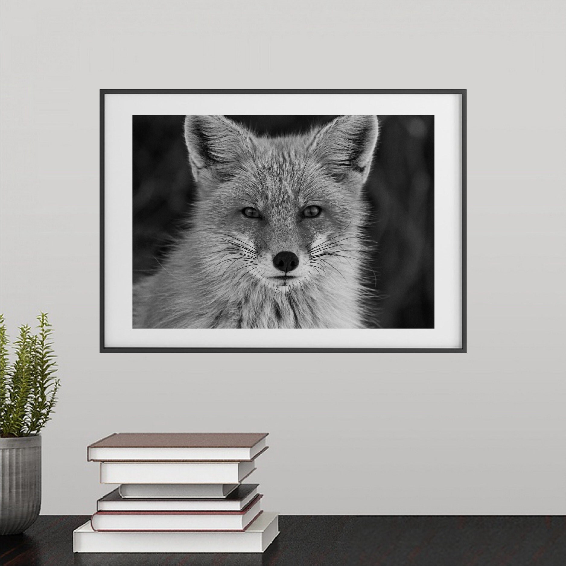 fox sweaters for guys