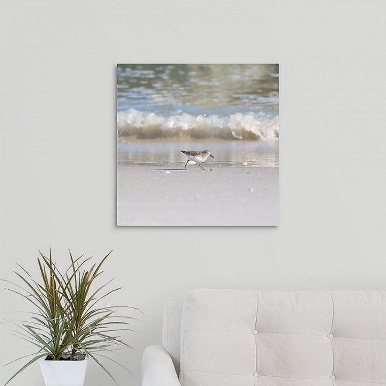 Sandpiper Canvas Wrap Photograph Coastal Wall Art Ready to Etsy