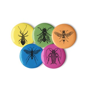 May include: Five circular pinback buttons featuring black ink illustrations of various insects. The buttons are colored yellow, green, orange, blue, and pink. Each button displays a detailed, high-contrast graphic of a different bug species.