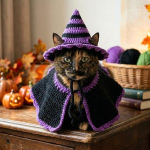 May include: A crocheted pet costume consisting of a pointed witch hat and a matching cape. The hat features horizontal purple and black stripes with a scalloped brim. The cape is solid black with a purple crocheted border and two black ties.