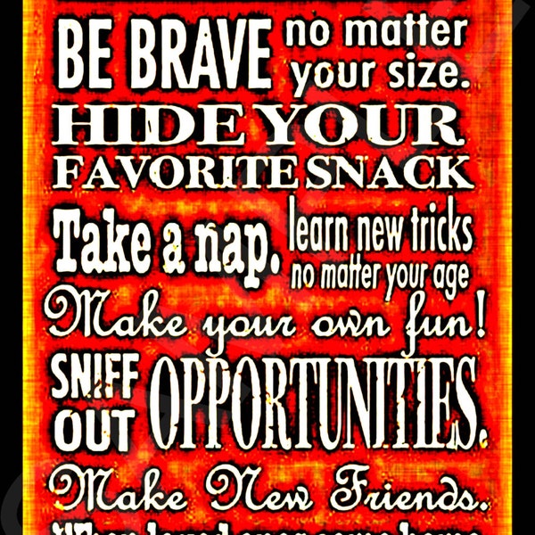Dog Wisdom!  Made In USA Distressed All Weather 8x12 Metal Sign Man Cave Dog House Bar Advice Inspirational Size Does Not Matter Be Brave