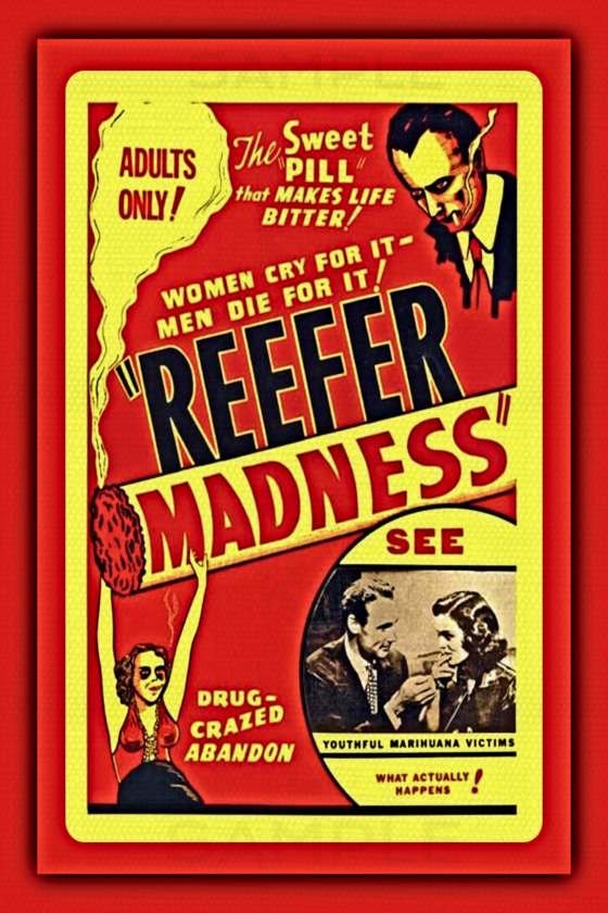Reefer Madness! 8"x12" Metal Sign Vintage Distressed Pin Up Image No Pot Marijuana Funny Man Cave Dorm
