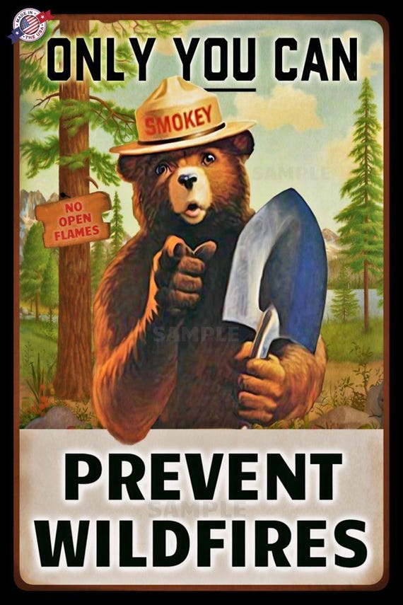 8"x12" Metal Sign Smokey Bear Sign Made in USA U.S. Forest Service Rustic Log Cabin Lodge Decor Vintage Design