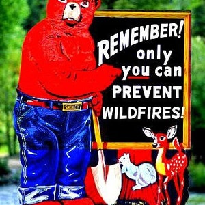 Letrero de metal Smokey Bear para todo tipo de clima, de 8" x 12", fabricado en EE. UU. Edición limitada, diseño de imagen vintage de cabaña rústica de madera del Servicio Forestal de EE. UU.