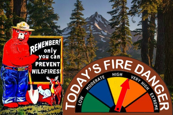 FOREST SERVICE VINTAGE FIRE DANGER WARNING SIGN GAUGE ADJUSTS SMOKEY BEAR U.S