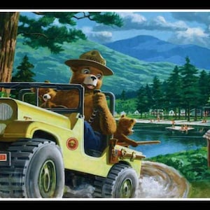 Letrero Smokey Bear de 8" x 12", de metal para todo tipo de clima, fabricado en EE. UU., edición limitada, licencia oficial del Servicio Forestal de EE. UU., cabaña rústica de troncos vintage