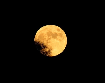 November Moon by Catherine Roché, Astronomy, Full Moon Photography, Landscape Photography, Night Sky Photography, Fine Art