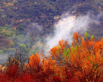 Autumn Noon by Catherine Roché, California Landscape Photography, Autumn Photography, Rain Photography, Clouds Photography, Fine Art