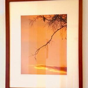 May include: A framed photograph of a tree branch silhouetted against a sunset sky. The frame is a dark brown wood.