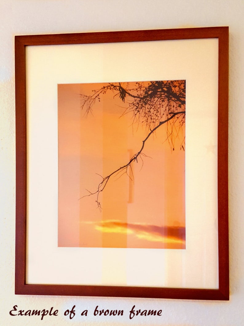 May include: A framed photograph of a tree branch silhouetted against a sunset sky. The frame is a dark brown wood.