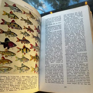 Illustrated Dictionary of Tropical Fishes by Hans Frey T.F.H. Publications, Jersey City, N.J. Edition Very Good/No jacket Hardcover image 4