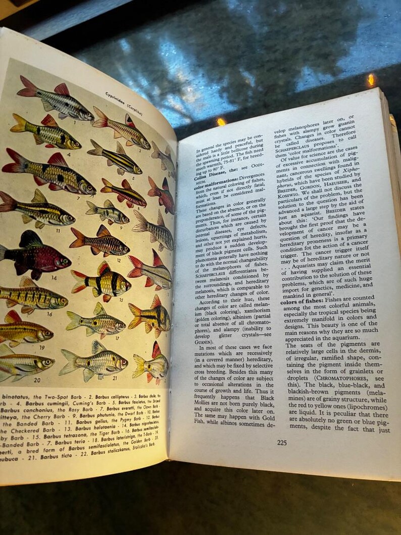 Illustrated Dictionary of Tropical Fishes by Hans Frey T.F.H. Publications, Jersey City, N.J. Edition Very Good/No jacket Hardcover image 4