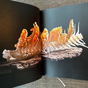 KOKS by Bent Christensen 2012 First Edition First Printing Near Fine Hardcover image 7
