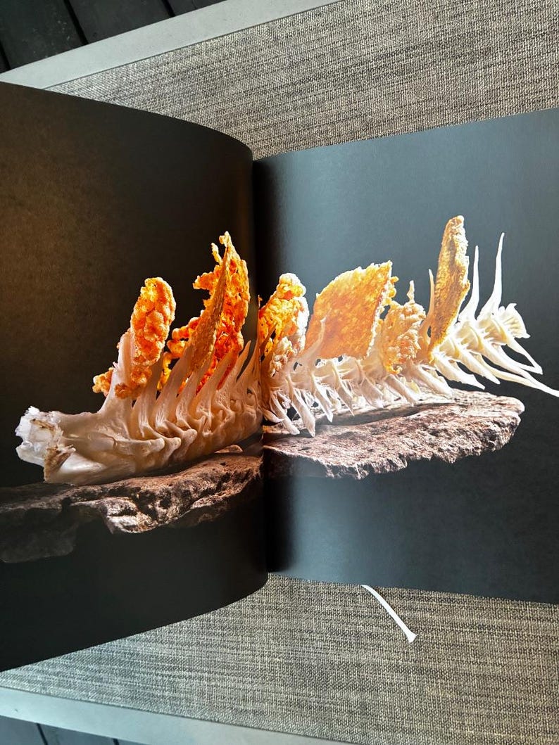 KOKS by Bent Christensen 2012 First Edition First Printing Near Fine Hardcover image 7