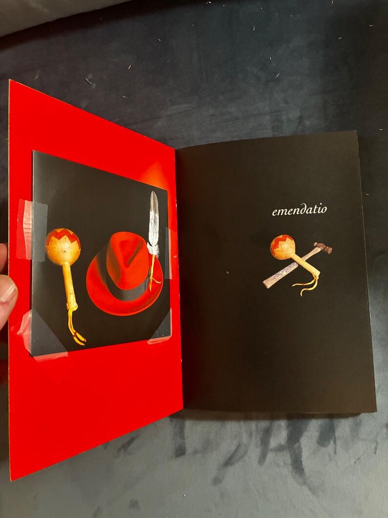 James Luna: Emendatio SIGNED by Luna. Smithsonian First Edition W/ DVD image 4