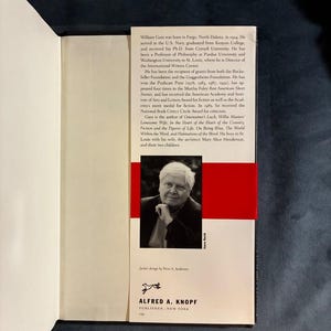 El túnel de William H. Gass, 1995, primera edición, primera impresión, casi perfecto/casi perfecto imagen 6