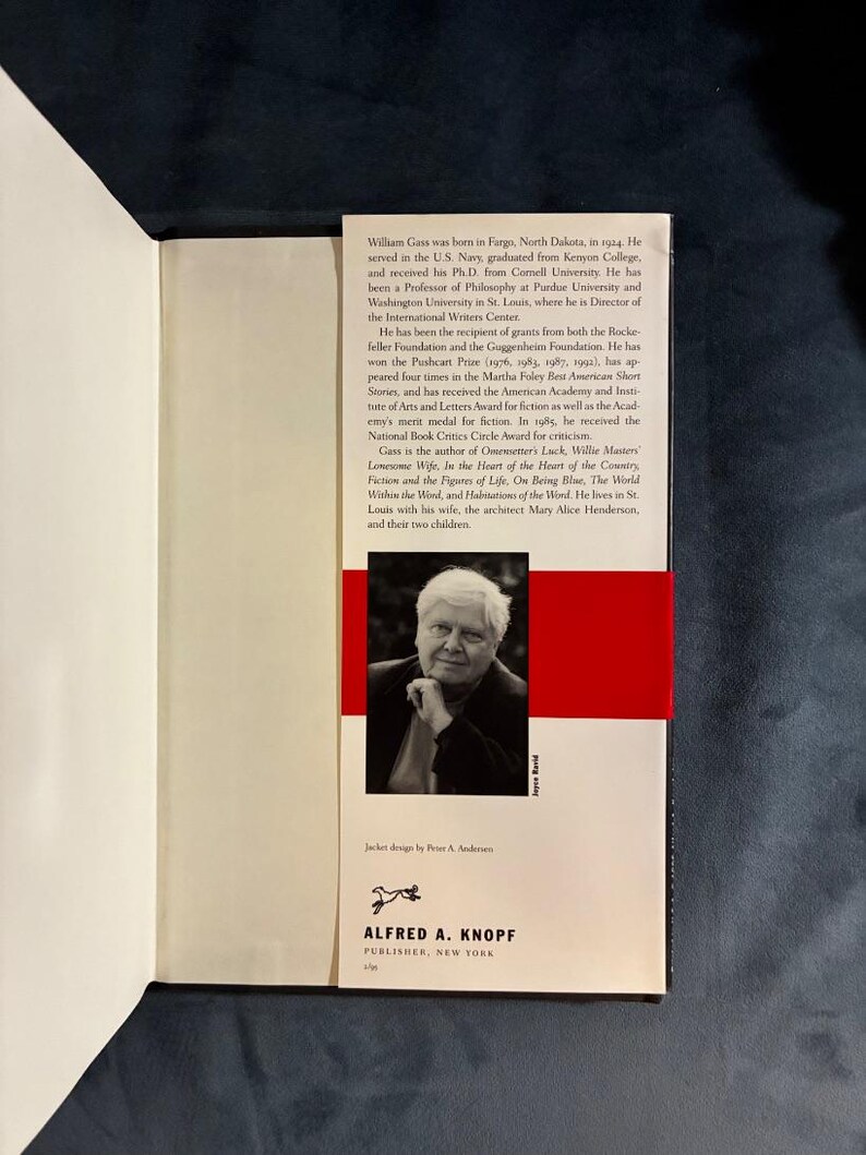 El túnel de William H. Gass, 1995, primera edición, primera impresión, casi perfecto/casi perfecto imagen 6