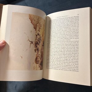 Sobre el origen de las especies, de Charles Darwin. Folio Society, edición de 2006. Tapa dura, en muy buen estado. imagen 6