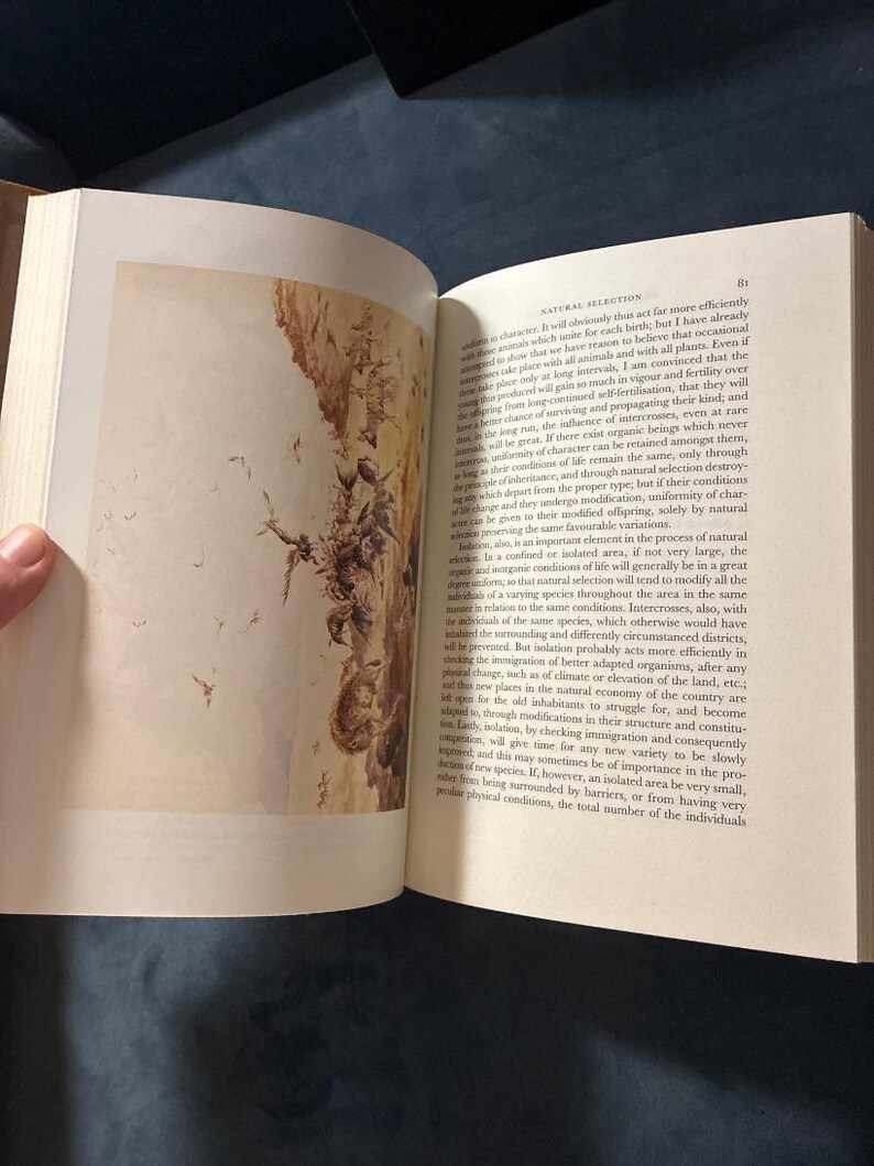 Sobre el origen de las especies, de Charles Darwin. Folio Society, edición de 2006. Tapa dura, en muy buen estado. imagen 6