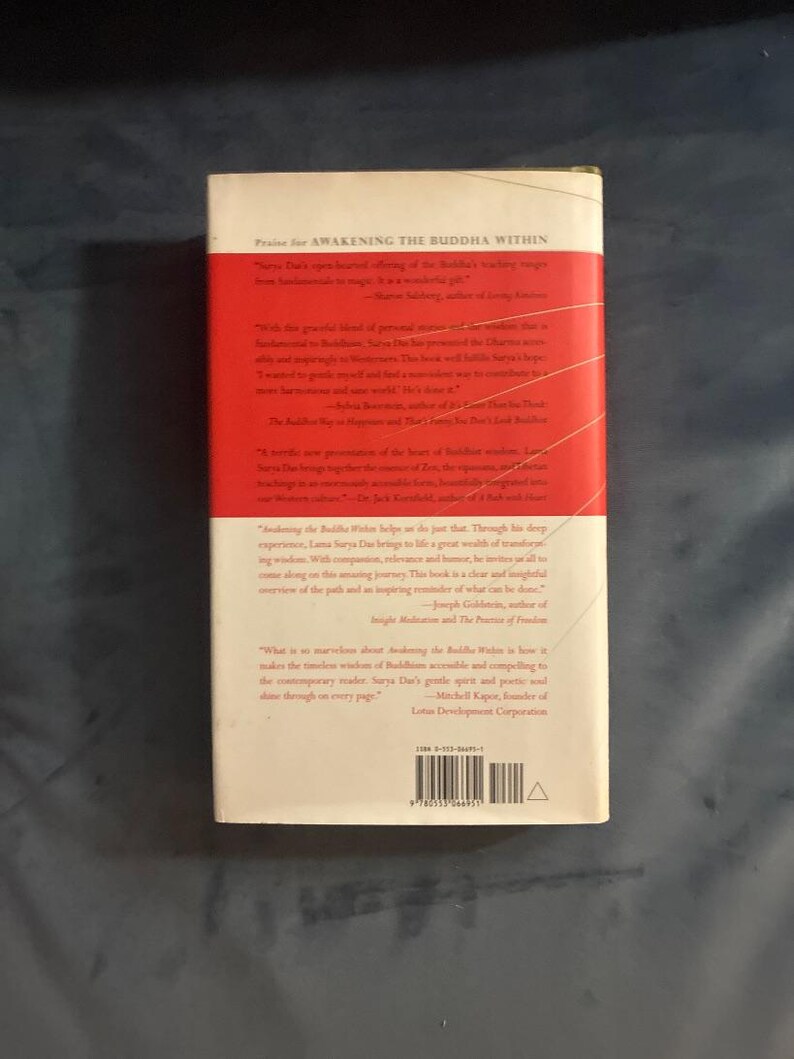 Den Buddha in uns erwecken: Tibetische Weisheit (Gebundene Ausgabe, Erster Druck) Bild 7