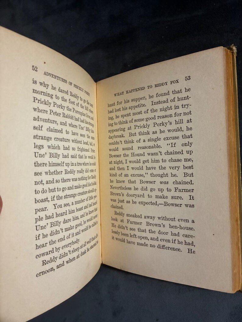 The Adventures of Prickly Porky by Thornton W. Burgess 1916 First Edition First Printing Good image 8