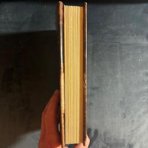 Alienisten av Caleb Carr 1994 Första upplagan 7:e tryckningen Nästan bra/Mycket bra bild 7