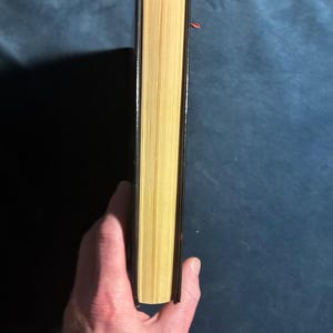 The Bride of the Wilderness by Charles McCarry 1988 First Edition First Printing Very Good/Very Good image 8