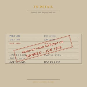 The Awakening Banned Book Digital Poster | Kate Chopin Library Card Print | Women Writers Print image 7
