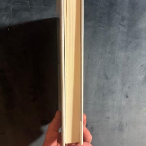 Frank O'Hara: The Poetics of Coterie by Lytle Shaw (First Edition, First Printing) image 3