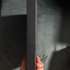 The Twelve Caesars by Suetonius First Edition 16th Printing Fine image 3