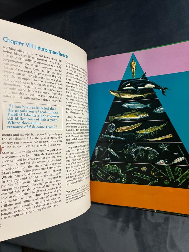 The Ocean World of Jacques Cousteau, Volume 1: Oasis in Space by Jacques Cousteau The Danbury Press Edition Very Good image 6