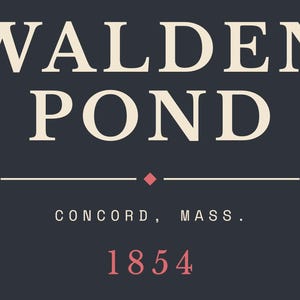 Stendardo letterario di Walden Pond / Stendardo da parete di Concord, Massachusetts / Decorazione per amanti dei libri ispirata a Thoreau immagine 13