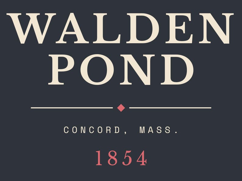 Stendardo letterario di Walden Pond / Stendardo da parete di Concord, Massachusetts / Decorazione per amanti dei libri ispirata a Thoreau immagine 13