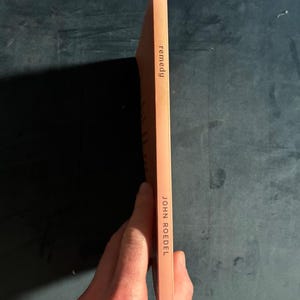 Remedy by John Roedel First Edition Near Fine Paperback image 6