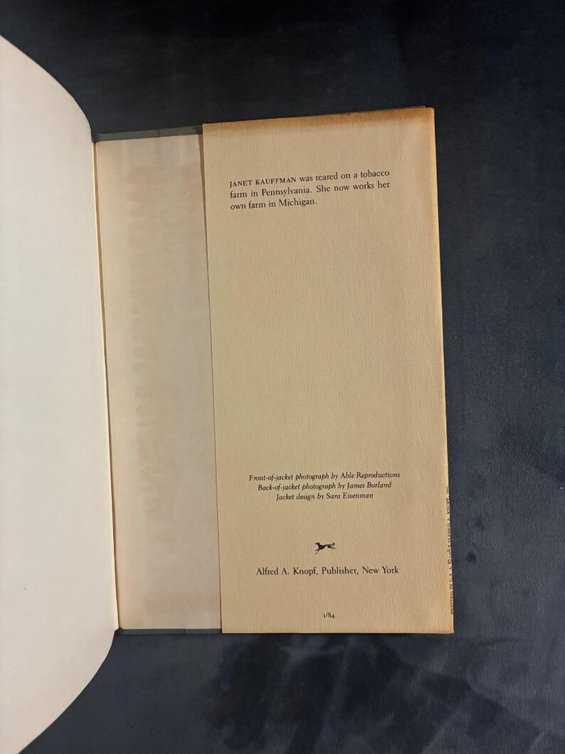 Orte auf der Welt, die eine Frau begehen könnte von Janet Kauffman, 1984, Erste Auflage, Zweiter Druck, Nahezu neuwertig/Sehr gut, Hardcover. Bild 6