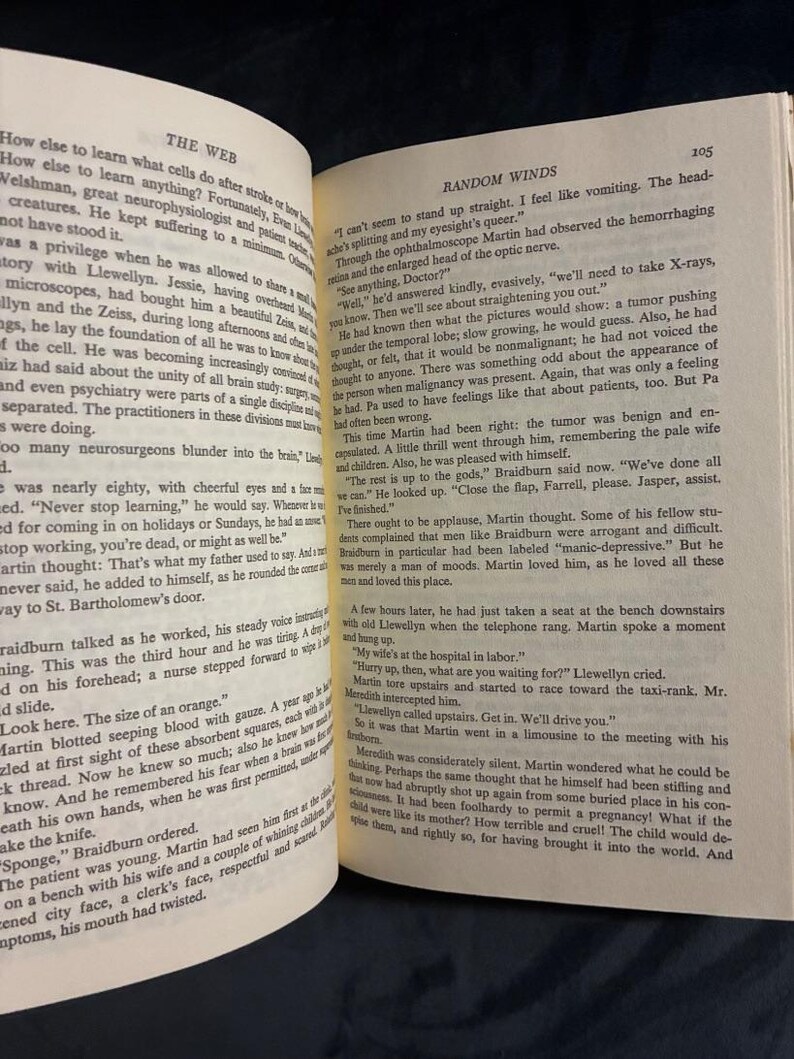 Random Winds by Belva Plain 1980 Delacorte Press Edition Very Good/Very Good Hardcover image 7