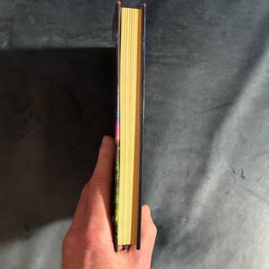 Gringos by Charles Portis 1991 First Edition First Printing Fine/Near Fine Hardcover image 9