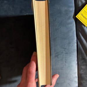 Picture This von Joseph Heller, 1988, Erstausgabe, erster Druck, sehr guter bis nahezu neuwertiger Zustand, Hardcover. Bild 9
